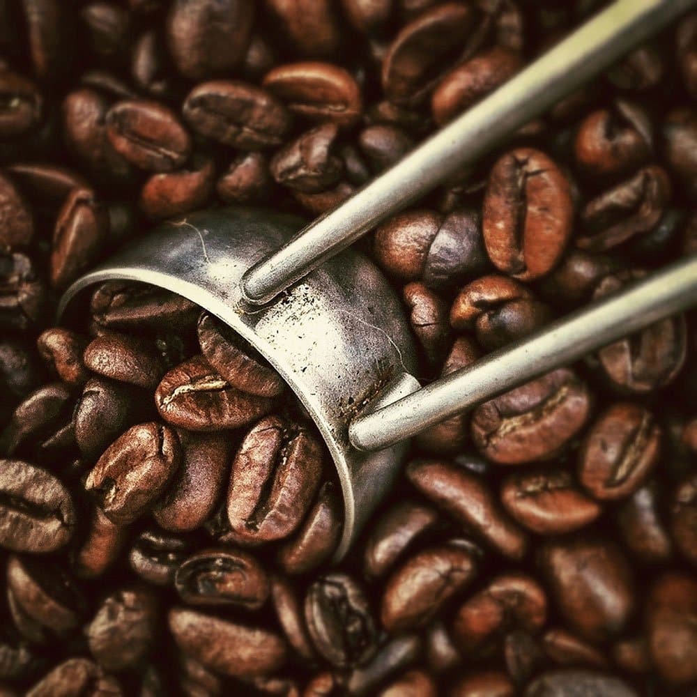 Cafea din India