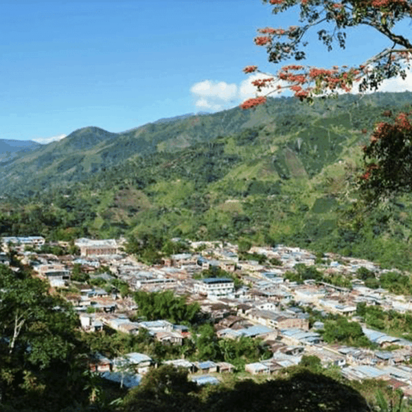 Cafea Colombia Cauca Cofinet Popayan - imagine 6